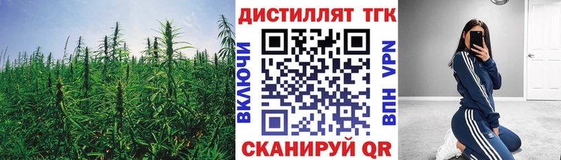 Дистиллят ТГК THC oil  Купить закладки  Сусуман 